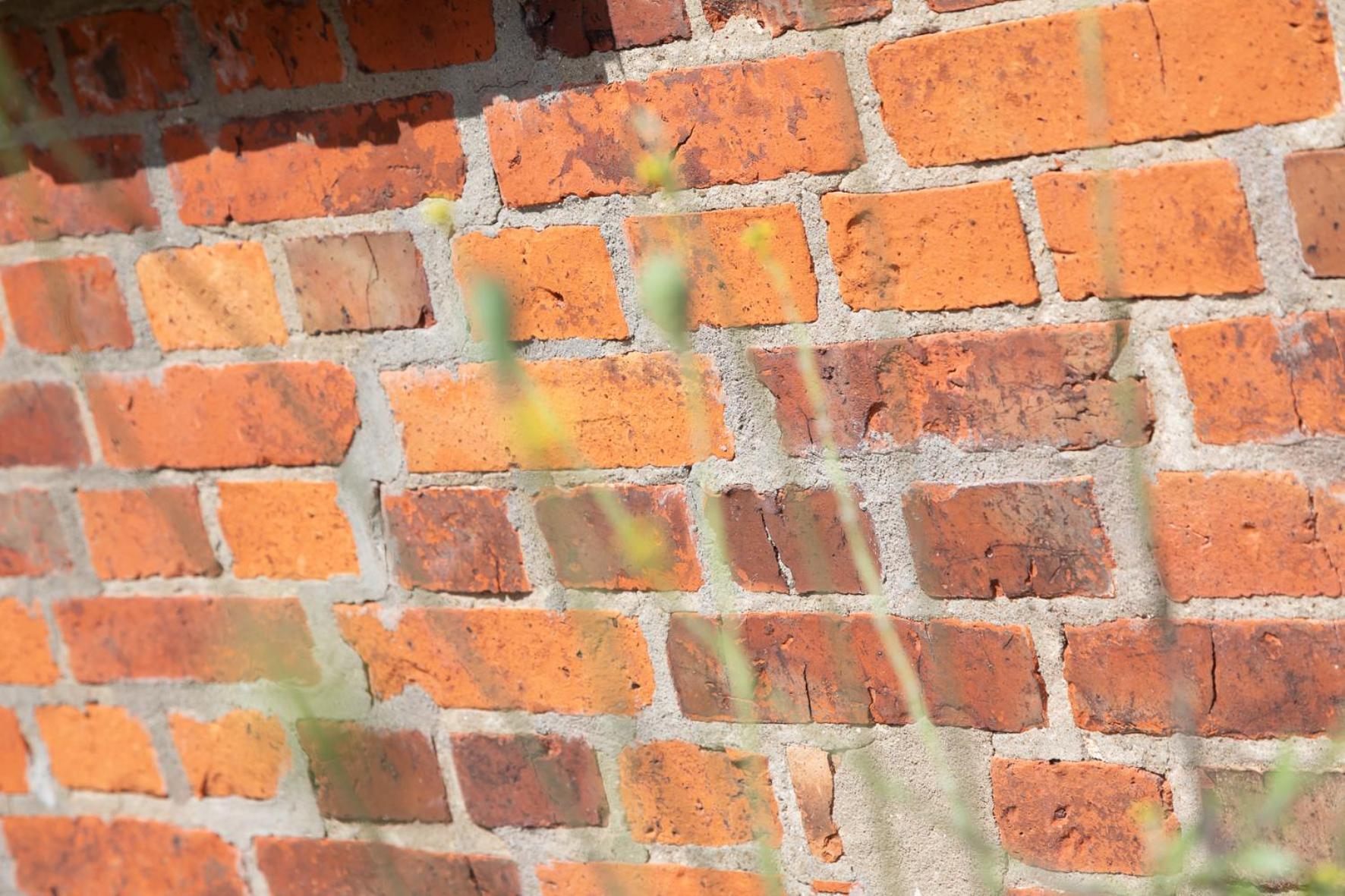 Wohnen Am Suedstrand - Ferienwohnung 1 5 Wyk auf Föhr Exterior foto